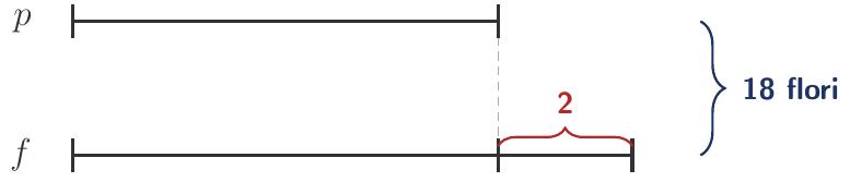 Desenăm două segmente orizontale. Primul segment (p) reprezintă numărul de panseluțe. Al doilea segment (f) reprezintă numărul de frezii și este format dintr-un segment egal cu cel al panseluțelor plus un segment mic marcat cu valoarea 2. O acoladă cuprinde ambele segmente și indică suma totală de 18 flori.