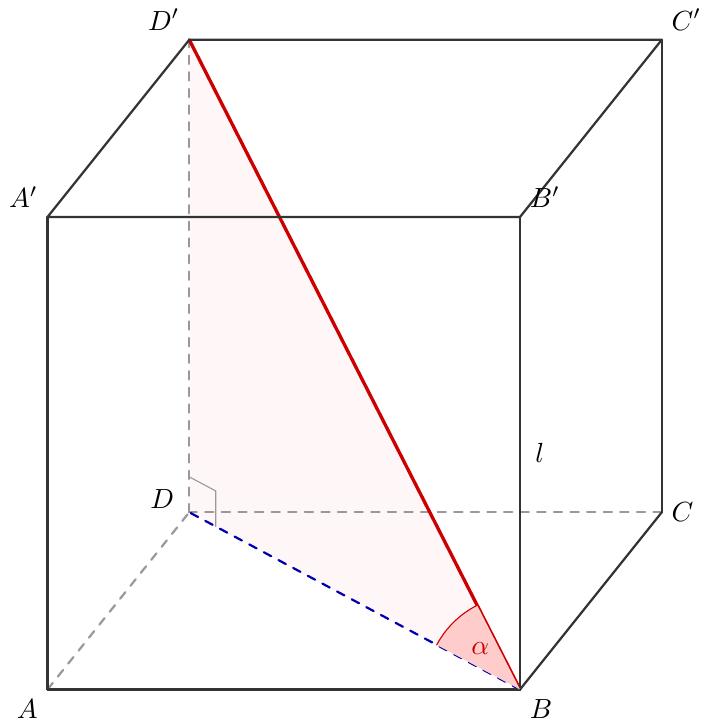 Reprezentarea grafică a unui cub în perspectivă 3D. Etichetează vârfurile cubului: A, B, C, D pentru baza inferioară (A fiind colțul stânga-jos-față, în ordine antiorară), și A', B', C', D' pentru baza superioară. Desenează muchiile invizibile (AD, CD, DD') cu linii întrerupte. Desenează diagonala bazei inferioare BD. Desenează diagonala principală a cubului BD', care unește vârful inferior B cu vârful superior opus D'. Etichetează lungimea muchiei cubului cu \(l\) pe muchia BB'. Evidențiază unghiul \(\sphericalangle D'BD\) la vârful B.