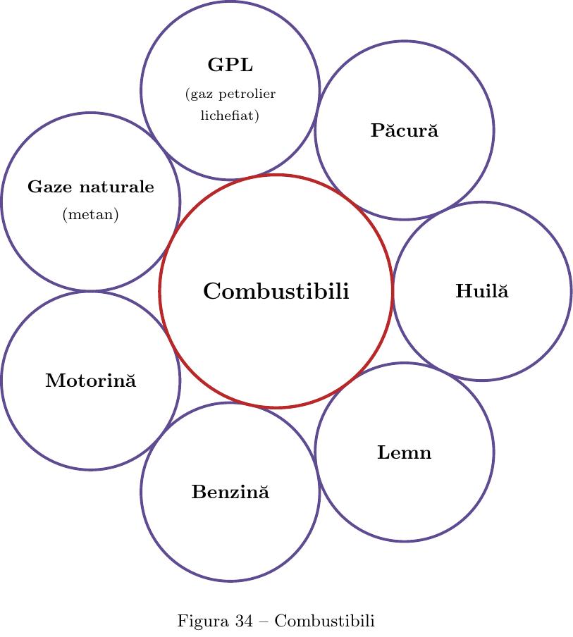 Se desenează un cerc central în care se scrie „Combustibili”. În jurul acestuia, dispuse simetric ca petalele unei flori, se desenează 7 cercuri de dimensiuni similare, tangente la cercul central:
1. Cercul din dreapta: „Huilă” (dat ca model).
2. Cercul din dreapta-jos: „Lemn”.
3. Cercul de jos: „Benzină”.
4. Cercul din stânga-jos: „Motorină”.
5. Cercul din stânga: „Gaze naturale (metan)”.
6. Cercul din stânga-sus: „GPL (gaz petrolier lichefiat)”.
7. Cercul de sus: „Păcură”.