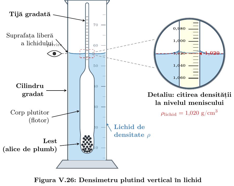 Densimetru plutind vertical într-un cilindru gradat umplut cu lichid; se distinge rezervorul inferior lestat cu alice de plumb și tija gradată ce iese la suprafața liberă a lichidului indicând valoarea densității.