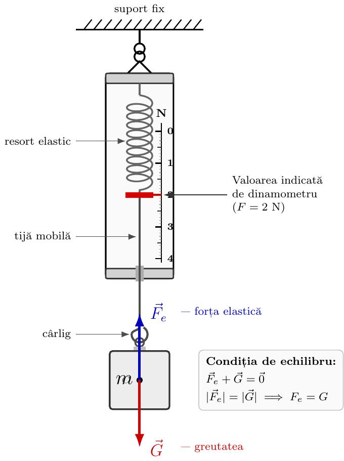 Schemă a unui dinamometru mecanic suspendat: în interior se află un resort elastic conectat la o tijă mobilă cu indicator; pe carcasă este trasată o scală gradată verticală în newtoni; la capătul inferior tija are un cârlig de care este atârnat un corp de masă m. Sunt reprezentate cele două forțe verticale opuse aplicate corpului la echilibru: greutatea G orientată în jos și forța elastică Fe orientată în sus.