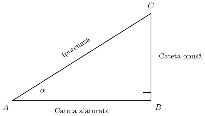 Triunghi dreptunghic ABC cu unghiul drept în B. Latura AC este ipotenuza, latura BC este cateta opusă unghiului ascuțit α situat în vârful A, iar latura AB este cateta alăturată unghiului α.